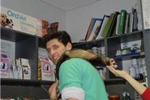 תמונה שצולמה להמחשת העבודות של ד"ר שרון דנון וטרינרים