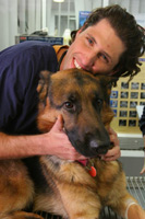 תמונה שצולמה להמחשת העבודות של ד"ר שרון דנון מרפאה וטרינרית