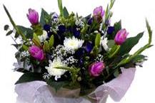 תמונה שצולמה להמחשת העבודות של פרחי חן בשרון תמונה של פרחי חן בשרון