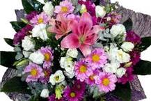 תמונה שצולמה להמחשת העבודות של פרחי חן בשרון תמונה של פרחי חן בשרון