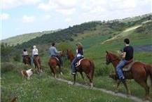 טיולי סוסים למשפחות