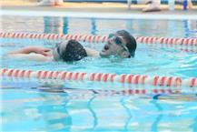 תמונה שצולמה להמחשת העבודות של ג'קסון לימודי שחייה וקורסי מצילים לימודי שחייה בקבוצות