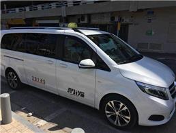 טיולים מאורגנים