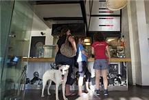 תמונה של בר גוריון