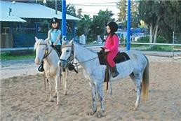 תמונה שצולמה להמחשת העבודות של חוות מקוה ישראל רכיבה על סוסים, הדרכות ותחרויות רכיבה