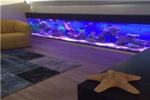 תמונה של ג'ימי תחזוקת אקווריומים