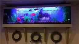 תמונה של ג'ימי תחזוקת אקווריומים