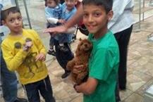 הובלת אקווריום לבית הלקוח