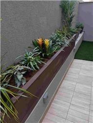 תמונה של אור חשמל-יוסי