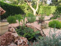 תמונה של אור חשמל-יוסי