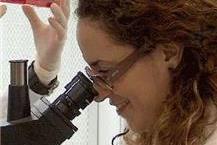 תמונה של מכללה טכנולוגית תל חי