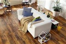 תמונה שצולמה להמחשת העבודות של טפטיס פרקטים