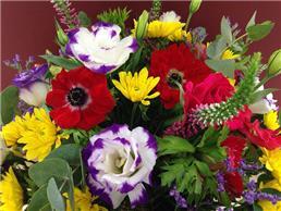 תמונה שצולמה להמחשת העבודות של גיל טל פרחים כרטיסי ברכה