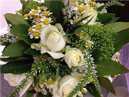 תמונה שצולמה להמחשת העבודות של גיל טל פרחים פרחי גינה