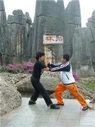 אומנויות לחימה CMA