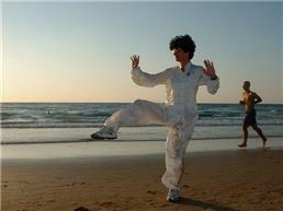 אומנויות לחימה MMA