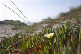 תמונה של לקוח טסט