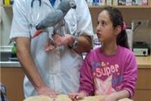 תמונה של ד"ר אמיר דנן