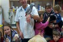 בדיקות תקופתיות לחיות 