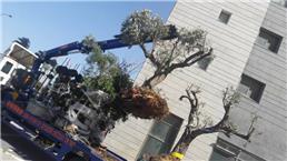 תמונה שצולמה להמחשת העבודות של ישראל הובלות ומנופים - 3 תמונה של ישראל הובלות ומנופים