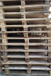 תמונה של משטחי גולני משטחי הצפון