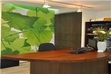 תמונה של ד"ר גזית דנה