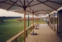 תמונה שצולמה להמחשת העבודות של עצים בע"מ עץ רב שכבתי