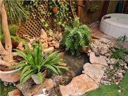 תמונה שצולמה להמחשת העבודות של אקווריום סנטר-אקווריומים והקמת בריכות נוי תמונה של אקווריום סנטר-אקווריומים והקמת בריכות נוי