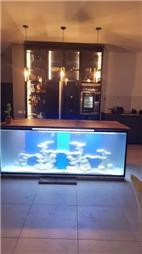 תמונה שצולמה להמחשת העבודות של אקווריום סנטר-אקווריומים והקמת בריכות נוי תמונה של אקווריום סנטר-אקווריומים והקמת בריכות נוי