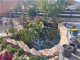 תמונה שצולמה להמחשת העבודות של אקווריום סנטר-אקווריומים והקמת בריכות נוי תמונה של אקווריום סנטר-אקווריומים והקמת בריכות נוי