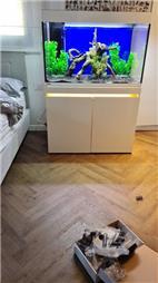 תמונה שצולמה להמחשת העבודות של אקווריום סנטר-אקווריומים והקמת בריכות נוי תמונה של אקווריום סנטר-אקווריומים והקמת בריכות נוי