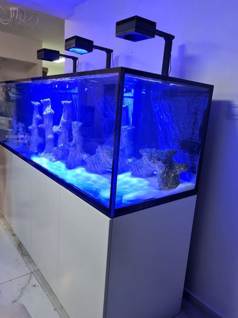 תמונה שצולמה להמחשת העבודות של אקווריום סנטר-אקווריומים והקמת בריכות נוי תמונה של אקווריום סנטר-אקווריומים והקמת בריכות נוי