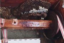 תמונה שצולמה להמחשת העבודות של הנטר הדברות הדברת חרקים ומעופפים