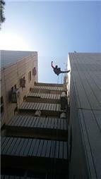 תמונה של אפרים הדברות - המומחים להדברת מזיקים והרחקת יונים בכרמיאל