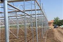 תמונה שצולמה להמחשת העבודות של חממות מסארווה באקה תמונה של חממות מסארווה באקה