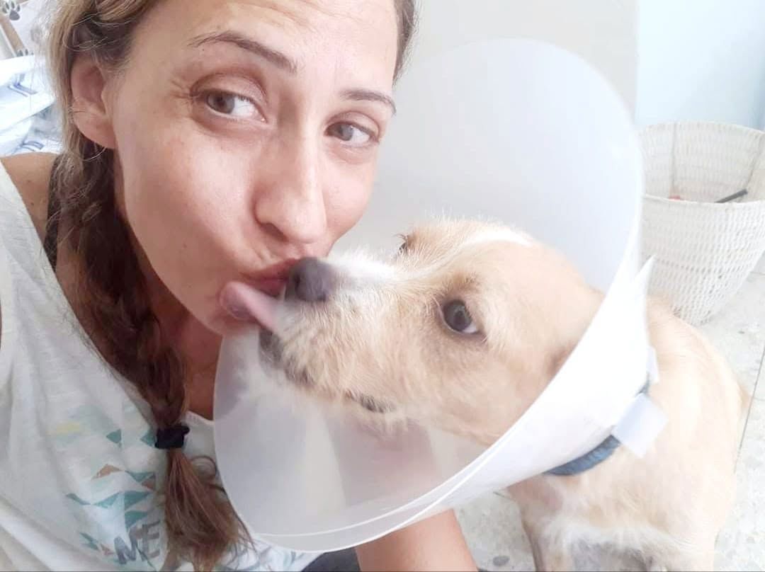 תמונה שצולמה להמחשת העבודות של המרפאה של ניצן תמונה של המרפאה של ניצן