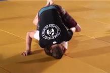 תמונה שצולמה להמחשת העבודות של אומנות לחימה - טים פיטבול ג'ו ג'יטסו