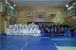 אומנויות לחימה MMA