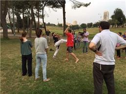 אומנויות לחימה משולבות MMA