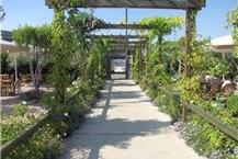 תמונה של מסעדת בוסתן