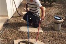 תמונה שצולמה להמחשת העבודות של יצחק - הדברה גיזום וכריתת עצים - 1 הרחקת יונים