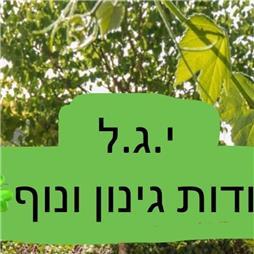 תמונה שצולמה להמחשת העבודות של י.ג.ל - עבודות גינון ונוף - 3 תמונה של י.ג.ל - עבודות גינון ונוף