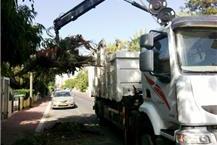 פינוי פסולת 