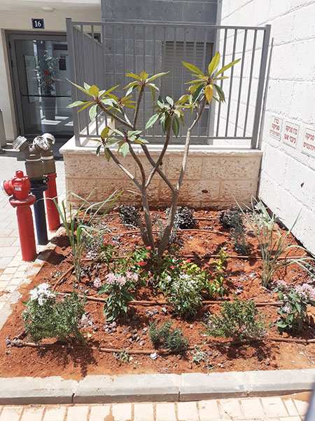 תמונה שצולמה להמחשת העבודות של סלניה חנות פרחים ועיצוב אירועים תמונה של סלניה חנות פרחים ועיצוב אירועים