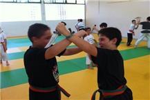 אומנויות לחימה למקצוענים