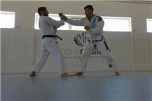 אומנויות לחימה משולבות MMA