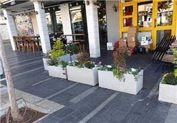 תמונה של בר גינון ואחזקות - שירותי גינון מקצועיים בחיפה