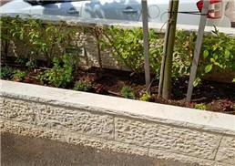 תמונה של בר גינון ואחזקות - שירותי גינון מקצועיים בחיפה