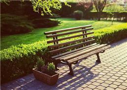 תמונה של בר גינון ואחזקות - שירותי גינון מקצועיים בחיפה