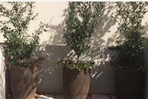 תמונה שצולמה להמחשת העבודות של דרך ארץ- פיתוח וגינון תמונה של דרך ארץ- פיתוח וגינון